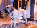 bILDER NEU 220